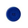 Botella de acero inoxidable Vivid Blue