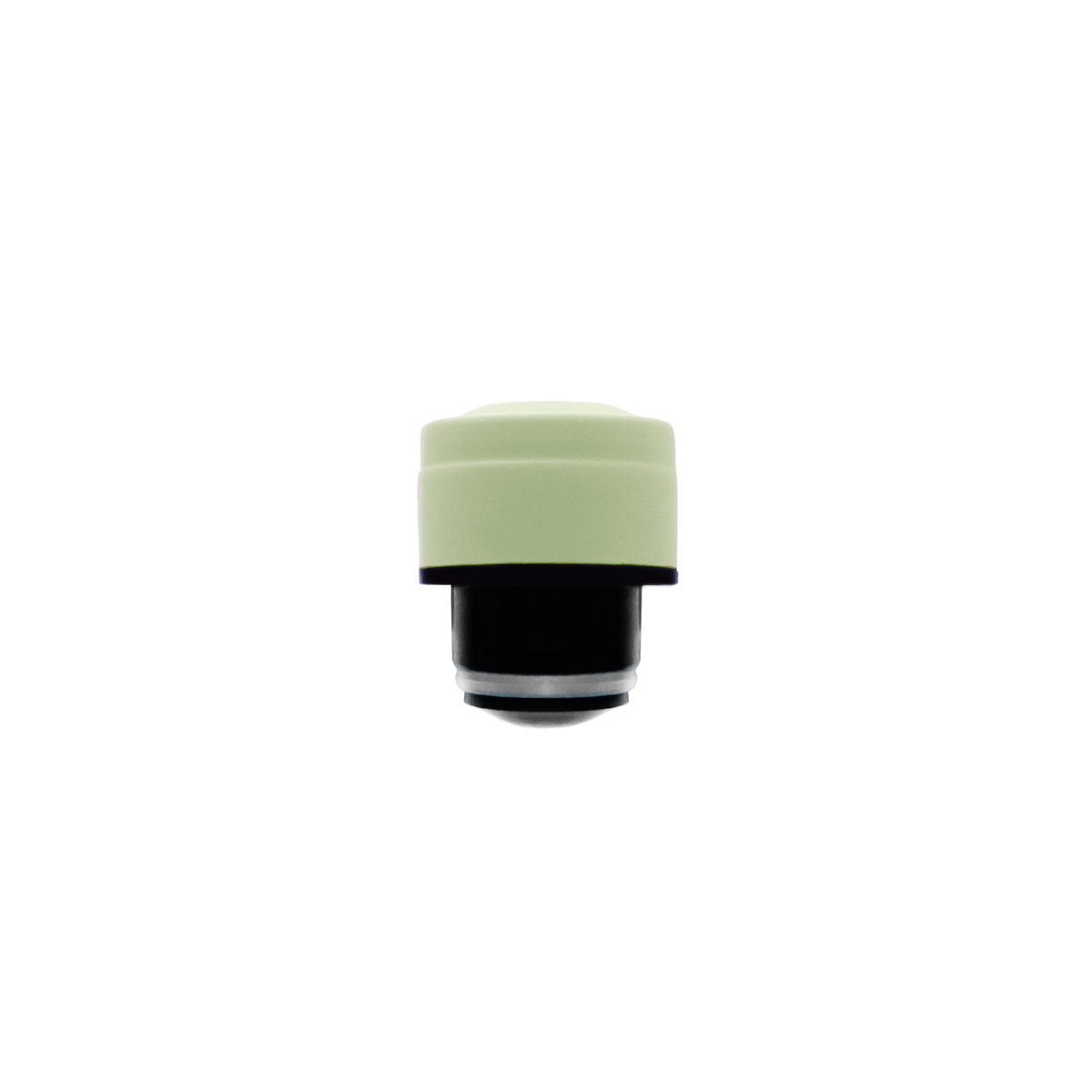 Tú botella de acero inoxidable - Tapón Pastel Green 1